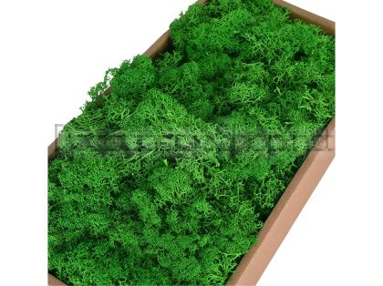 Скандинавски Мъх 500гр, Moss Green