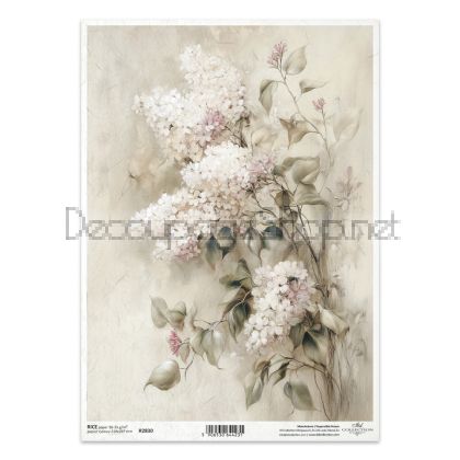ITD COLLECTION ДЕКУПАЖНА ОРИЗОВА ХАРТИЯ А4 - R2830