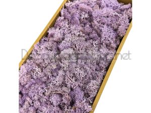 Скандинавски Мъх 500гр, Medium Purple