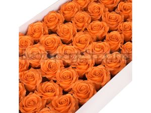 Сапунена роза Love De Luxe , 6.5см x 5,8см, Tiger